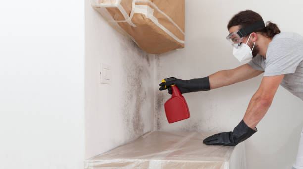 Professional Mold Removal technician working in Elgin, TX